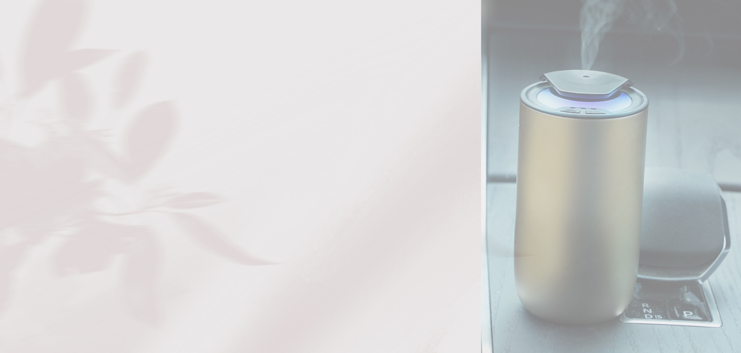 banner-pic2 banner-pic2