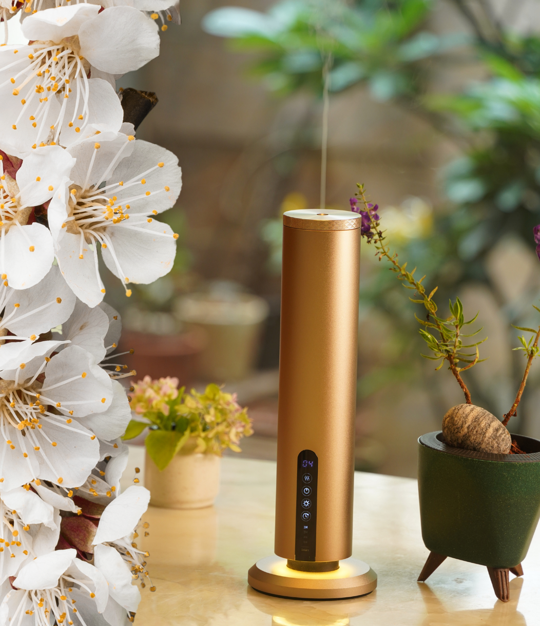 aroma product banner 1