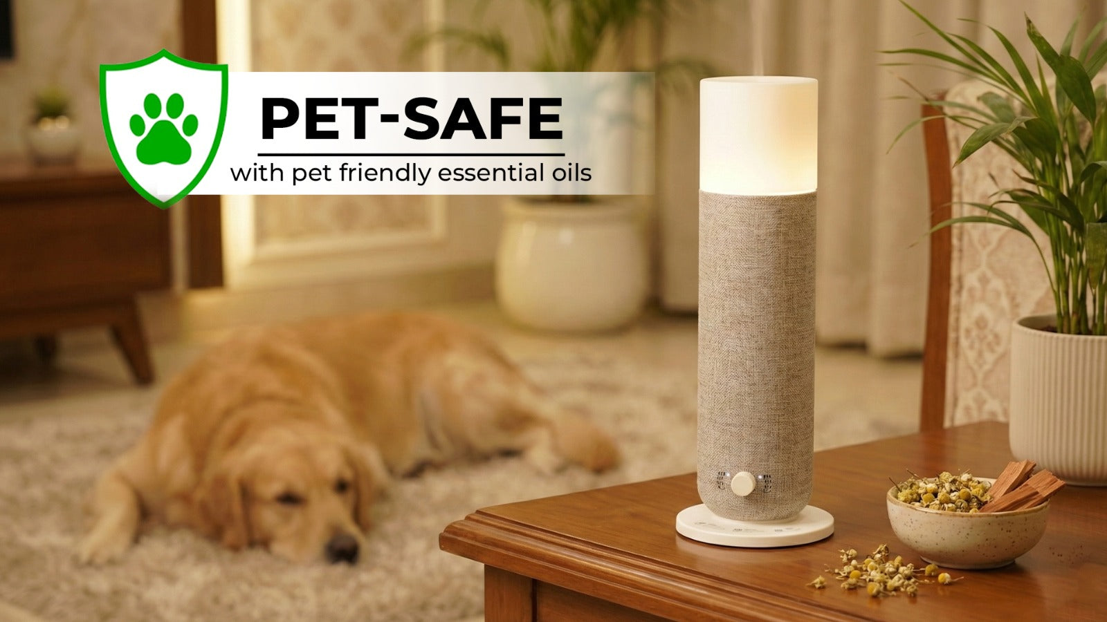 Are Aroma Diffusers Safe for Your Pets in Luxurious Indian Homes?