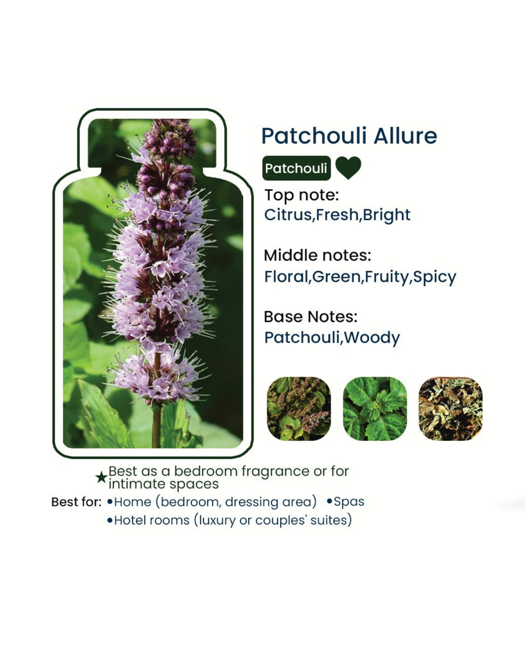 Patchouli Allure Essential Oil - 30 ml