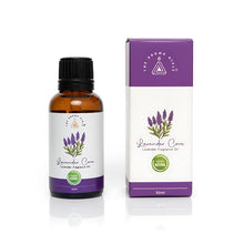 Lavender Cove Essential Oil - 30 ml