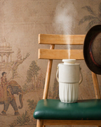 Mist Go Portable Diffuser